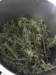 branches-de-cade-casserole